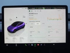 Tesla Model Y Rear-Wheel Drive - ფოტო 20