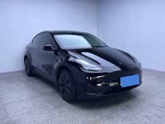 Tesla Model Y Rear-Wheel Drive - ფოტო 3