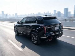 Cadillac XT5 2.0T AWD Luxury (Hummingbird Edition) - ფოტო 19