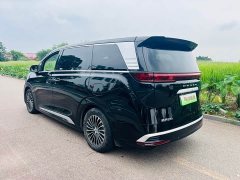 Denza D9 2022 DM-i 970 AWD Flagship - ფოტო 12