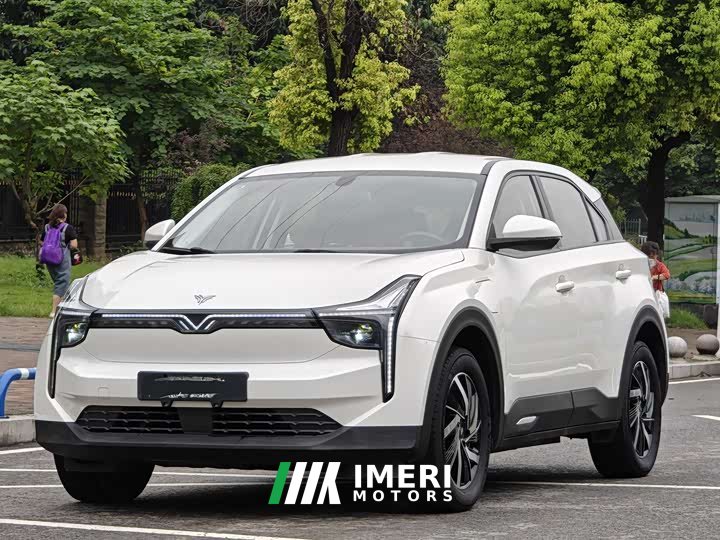 Neta U Pro 400 Industry Custom Edition - ავტომობილი ჩინეთიდან