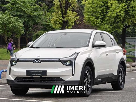 2021 Neta U Pro 400 Industry Custom Edition - ავტომობილი ჩინეთიდან