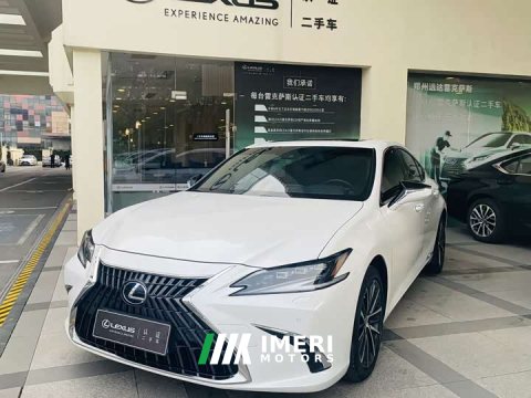 2021 Lexus ES 300h Premium Edition - ავტომობილი ჩინეთიდან
