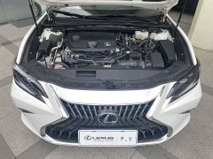 Lexus ES 300h Premium Edition - ფოტო 7