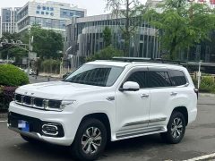 Beijing Jeep BJ60 2.0T Qianli Edition 5-Seater - ფოტო 12