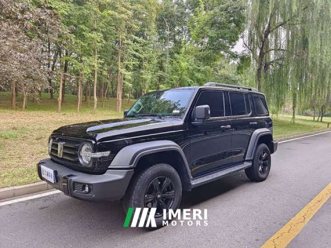 2023 Tank 300 Off-Road Edition 2.0T Challenger - ავტომობილი ჩინეთიდან