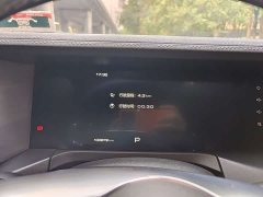 Tank 300 Off-Road Edition 2.0T Challenger - ფოტო 6