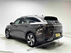 Volkswagen Lanxun 380TSI AWD R-Line Cruise Edition - ფოტო 19