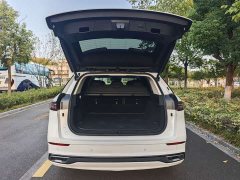 Chery Tiggo 9 2.0T DCT FWD Ultra Comfort Prestige Edition - ფოტო 13