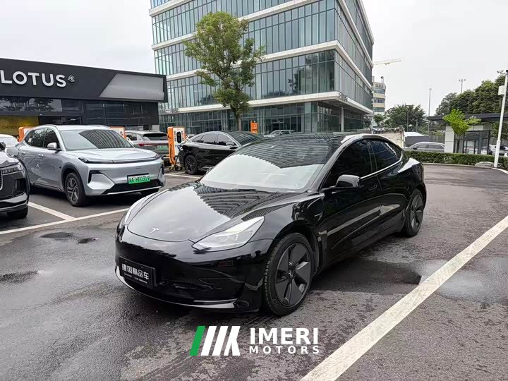 Tesla Model 3 Standard Range RWD Upgrade 3D6 - ავტომობილი ჩინეთიდან