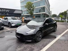 Tesla Model 3 Standard Range RWD Upgrade 3D6 - ფოტო 1