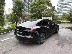 Tesla Model 3 Standard Range RWD Upgrade 3D6 - ფოტო 13