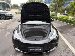 Tesla Model 3 Standard Range RWD Upgrade 3D6 - ფოტო 19