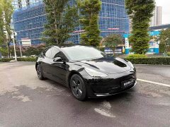 Tesla Model 3 Standard Range RWD Upgrade 3D6 - ფოტო 3