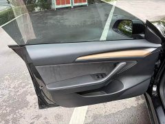 Tesla Model 3 Standard Range RWD Upgrade 3D6 - ფოტო 8