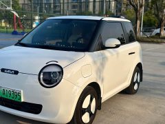 Changan Lumin 205km Xiangqin Edition - ფოტო 13