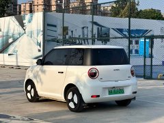 Changan Lumin 205km Xiangqin Edition - ფოტო 3