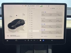 Tesla Model 3 2022 Rear-Wheel Drive - ფოტო 13