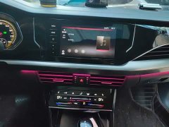 Volkswagen Passat 280TSI Elite - ფოტო 14