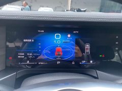 Tank 300 Off-Road Edition 2.0T Challenger - ფოტო 3