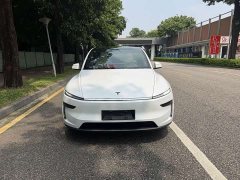 Tesla Model Y Rear-Wheel Drive - ფოტო 2