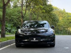 Tesla Model 3 Rear-Wheel Drive - ფოტო 2