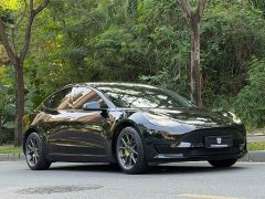 Tesla Model 3 Rear-Wheel Drive - ფოტო 3