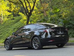 Tesla Model 3 Rear-Wheel Drive - ფოტო 4