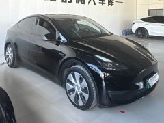 Tesla Model Y 2021 Standard Range RWD - ფოტო 9