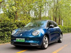 ORA Good Cat 400km Standard Range Athena Edition Ternary Lithium - ფოტო 1