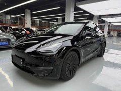 Tesla Model Y Standard Range RWD - ფოტო 1