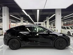 Tesla Model Y Standard Range RWD - ფოტო 4