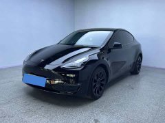 Tesla Model Y Long Range All-Wheel Drive 3D7 - фото 1
