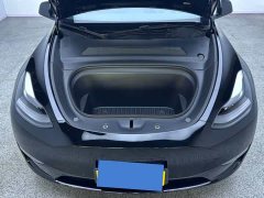 Tesla Model Y Long Range All-Wheel Drive 3D7 - фото 11