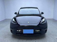Tesla Model Y Long Range All-Wheel Drive 3D7 - фото 2