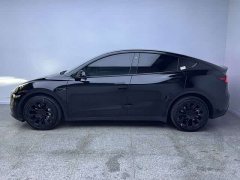 Tesla Model Y Long Range All-Wheel Drive 3D7 - фото 3