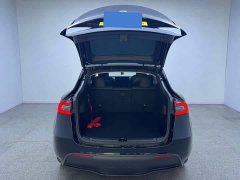 Tesla Model Y Long Range All-Wheel Drive 3D7 - фото 8