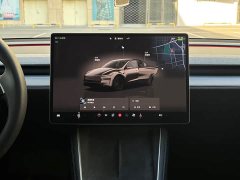 Tesla Model Y Rear-Wheel Drive - ფოტო 12
