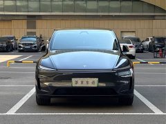 Tesla Model Y Rear-Wheel Drive - ფოტო 2