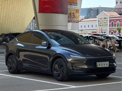 Tesla Model Y Rear-Wheel Drive - ფოტო 3