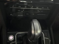 Volkswagen Magotan 2020 330TSI DSG Luxury - photo 16
