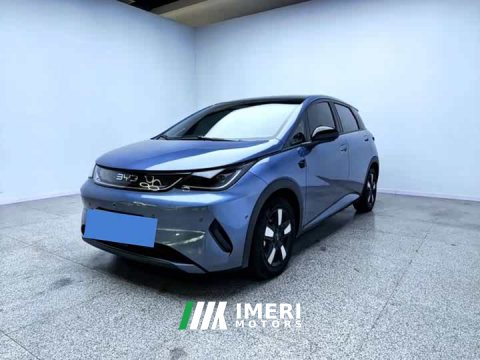 2025 BYD Dolphin Smart Drive 410km Fashion Edition - ავტომობილი ჩინეთიდან