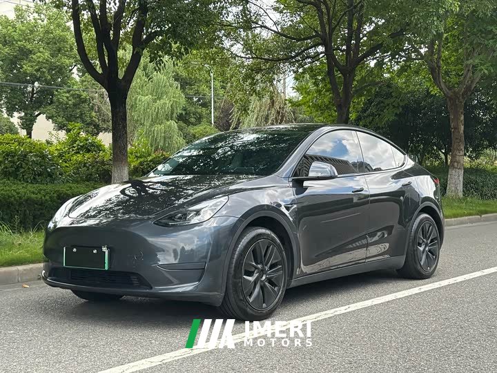 Tesla Model Y Rear-Wheel Drive