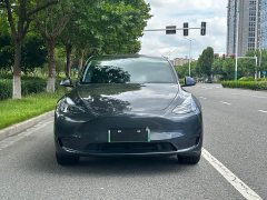 Tesla Model Y Rear-Wheel Drive - ფოტო 2