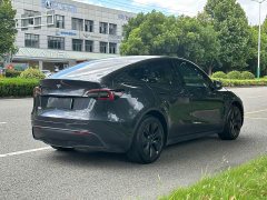 Tesla Model Y Rear-Wheel Drive - ფოტო 6