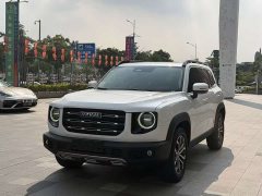 Great Wall Dachshund 1.5T DCT Two-Wheel Drive Border Collie Edition - ფოტო 1
