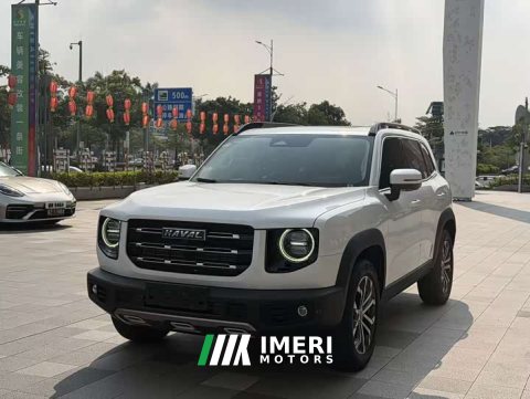 2021 Great Wall Dachshund 1.5T DCT Two-Wheel Drive Border Collie Edition - ავტომობილი ჩინეთიდან