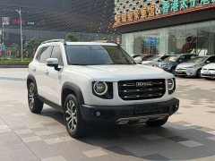 Great Wall Dachshund 1.5T DCT Two-Wheel Drive Border Collie Edition - ფოტო 3