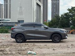 Changan Oushan X5 2021 1.5T DCT Premier - фото 11
