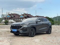 Changan Oushan X5 2021 1.5T DCT Premier - фото 2